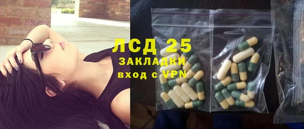 сатива Аркадак