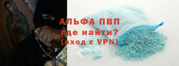 сатива Аркадак