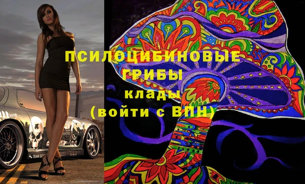 ГАЛЛЮЦИНОГЕННЫЕ ГРИБЫ Армянск