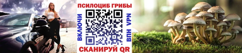 Галлюциногенные грибы мицелий  купить наркотик  Кувшиново 